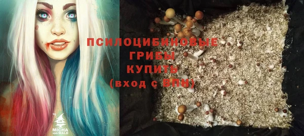ГАЛЛЮЦИНОГЕННЫЕ ГРИБЫ Алексеевка