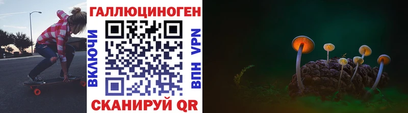 Галлюциногенные грибы Psilocybe Ейск